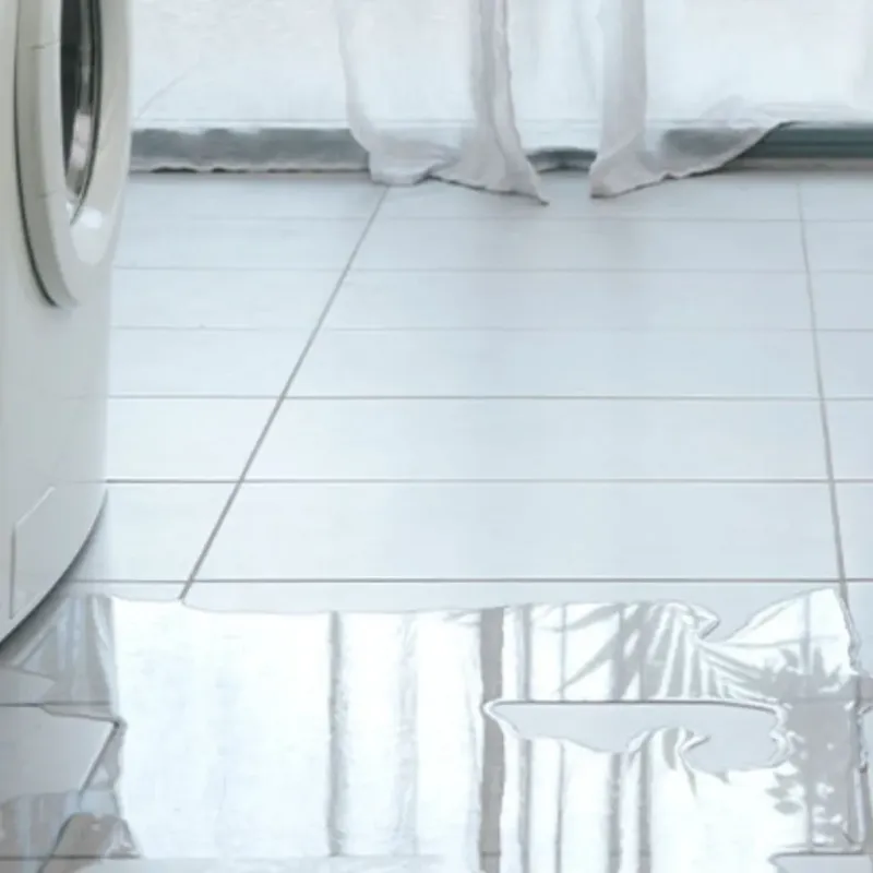 Appliance Leak Cleanup in Bawcomville, LA