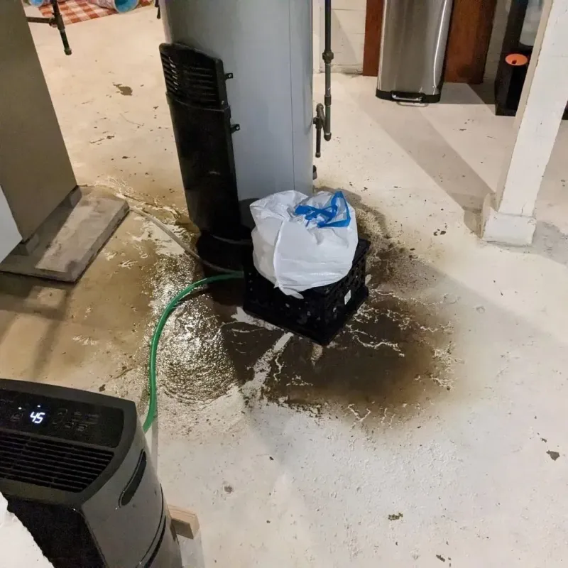 Sewage Backup Cleanup Service in Bawcomville, LA